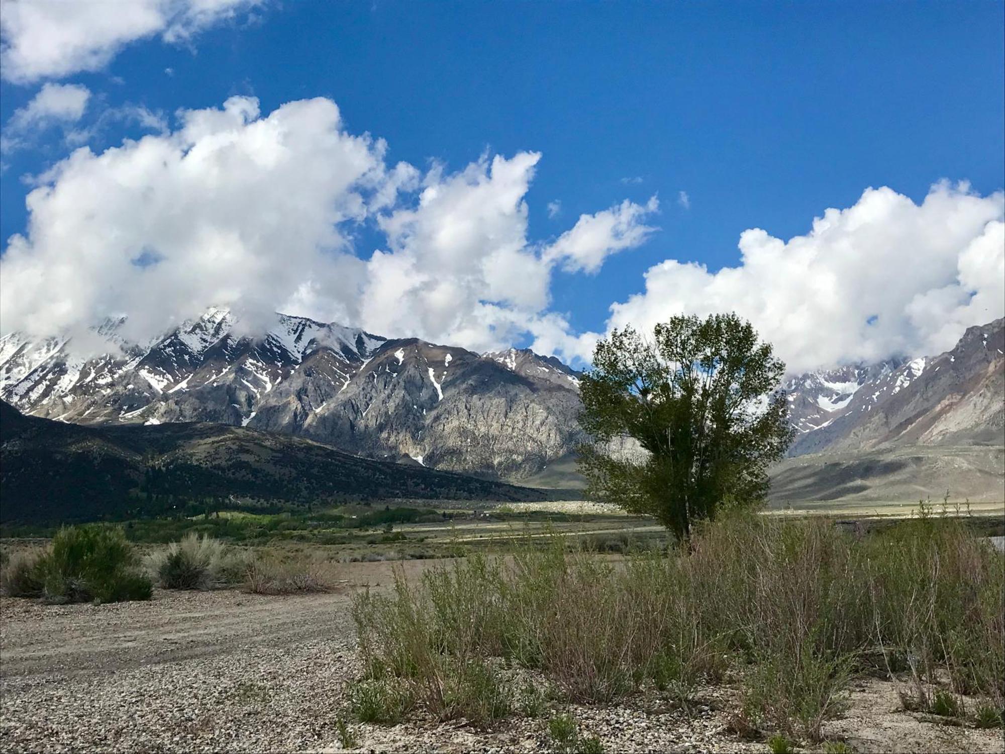 Mountainback #73, Den Villa Mammoth Lakes Ngoại thất bức ảnh